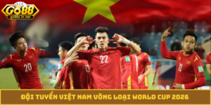 đội tuyển Việt Nam vòng loại World Cup 2026