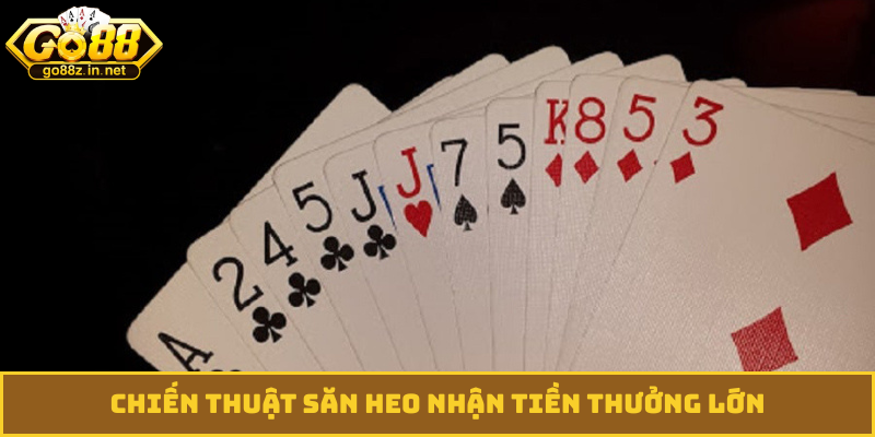 Chiến thuật săn heo nhận tiền thưởng lớn