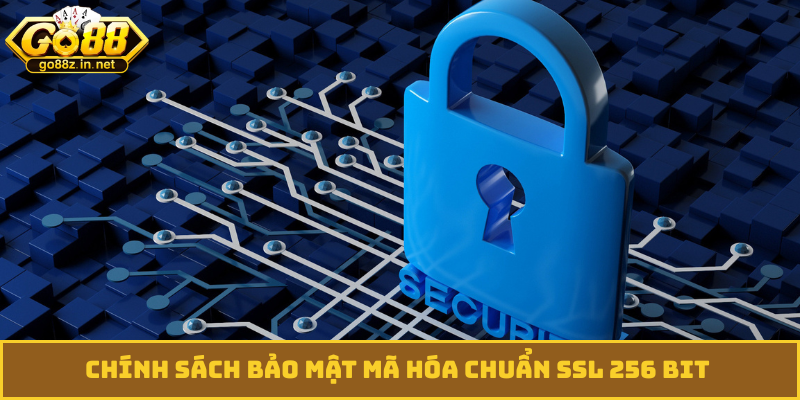 Chính sách bảo mật mã hóa chuẩn SSL 256 bit